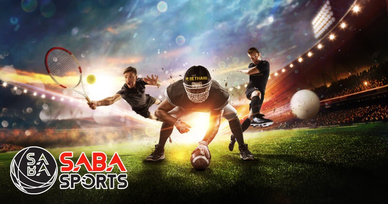 Tips dan Trik Menguasai Saba Sport: Dari Pemula hingga Ahli